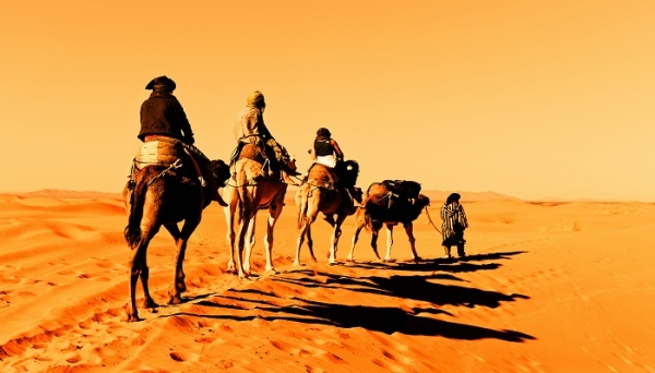 Dunes by Al Nahda